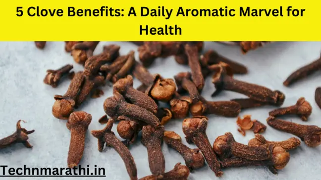 5 Clove Benefits A Daily Aromati