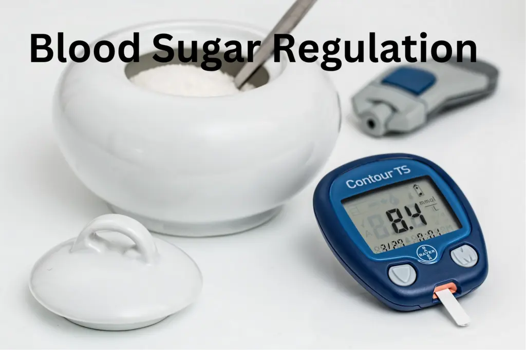 Blood Sugar Regulation