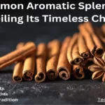 Cinnamon Aromatic Splendor