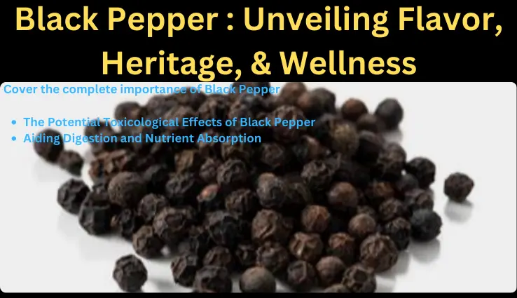 Black-pepper-webp Black pepper webp